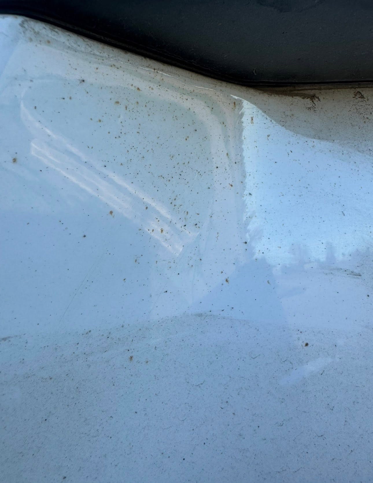 Detailing photo